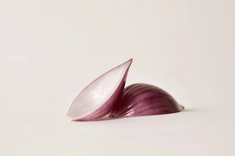 Ingredients_OnionExtract.webp