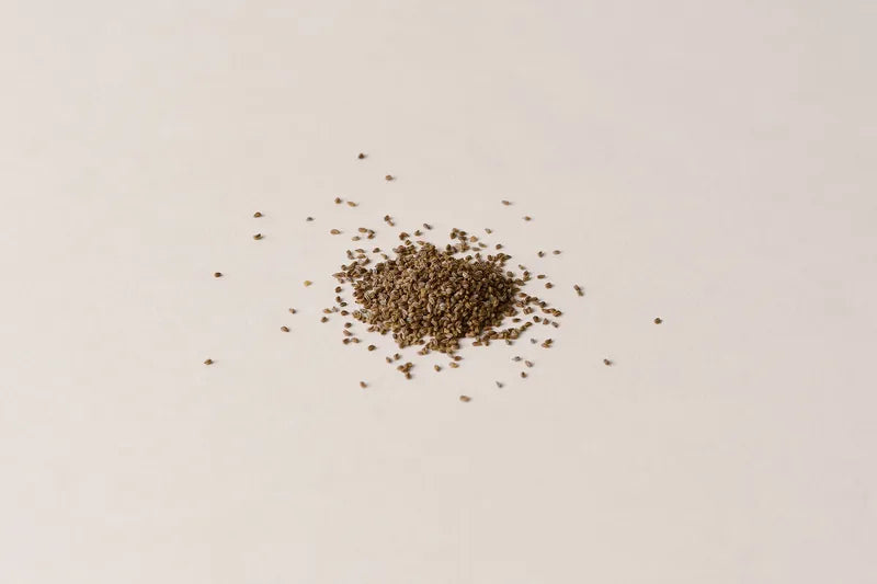 بذور الكرفس